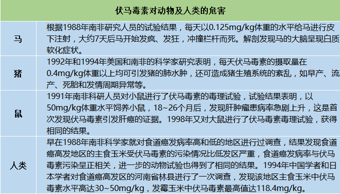 伏馬菌素對動物及人類的危害 伏馬菌素對動物及人類的危害