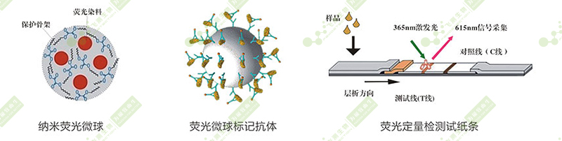 黃曲霉毒素B1熒光定量快速檢測(cè)系統(tǒng) 黃曲霉毒素B1熒光定量快速檢測(cè)系統(tǒng)